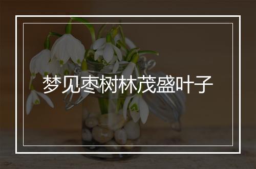 梦见枣树林茂盛叶子