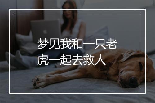 梦见我和一只老虎一起去救人