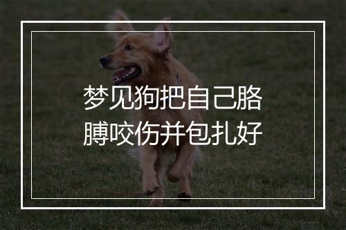 梦见狗把自己胳膊咬伤并包扎好