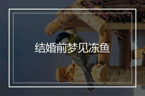 结婚前梦见冻鱼