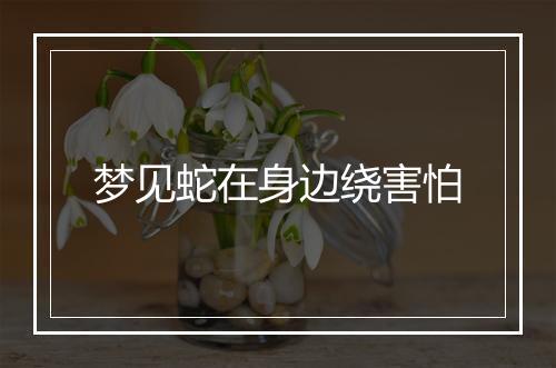 梦见蛇在身边绕害怕