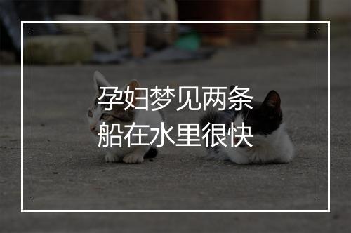 孕妇梦见两条船在水里很快