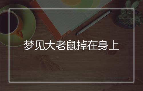 梦见大老鼠掉在身上