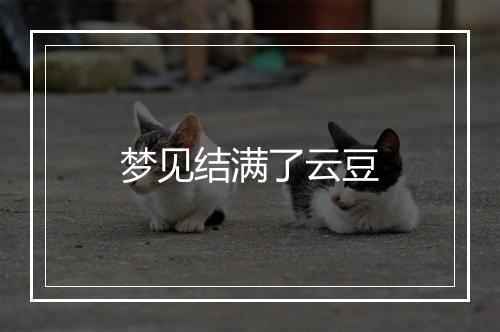 梦见结满了云豆