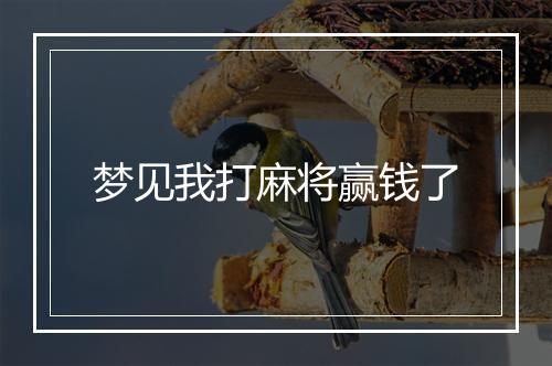 梦见我打麻将赢钱了