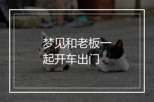 梦见和老板一起开车出门