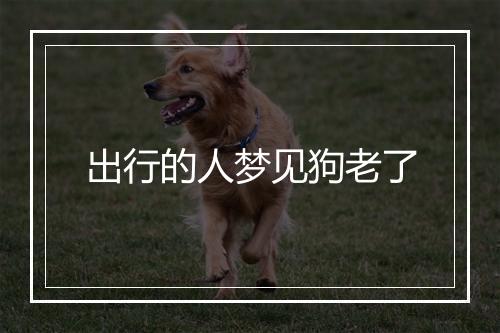 出行的人梦见狗老了