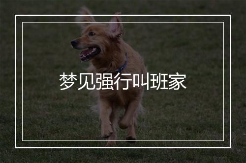 梦见强行叫班家