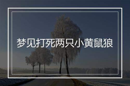 梦见打死两只小黄鼠狼