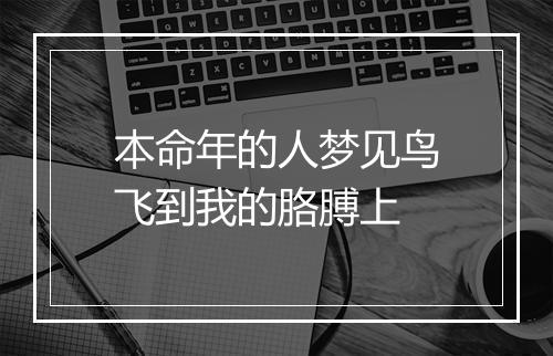 本命年的人梦见鸟飞到我的胳膊上