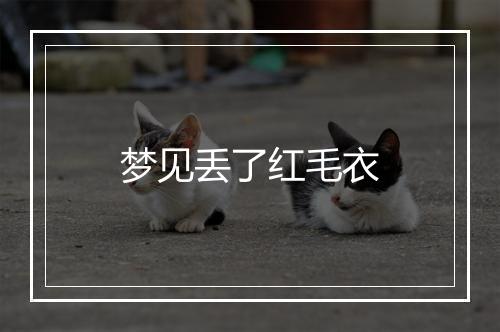 梦见丢了红毛衣