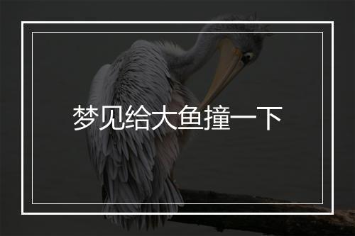 梦见给大鱼撞一下