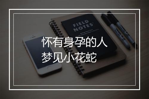 怀有身孕的人梦见小花蛇