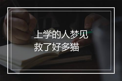 上学的人梦见救了好多猫