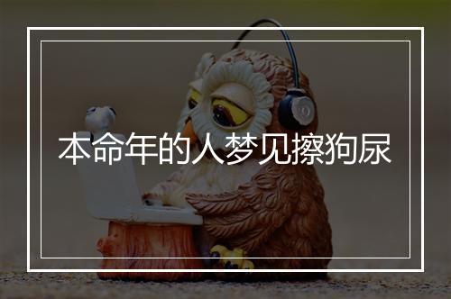 本命年的人梦见擦狗尿