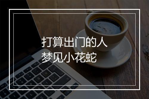 打算出门的人梦见小花蛇