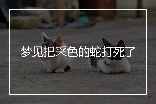 梦见把采色的蛇打死了