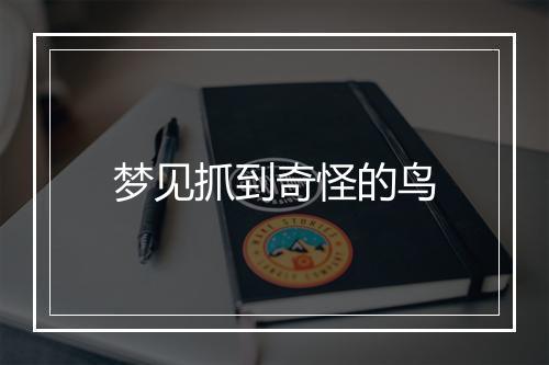 梦见抓到奇怪的鸟