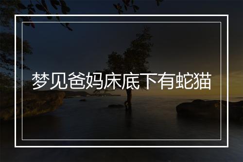 梦见爸妈床底下有蛇猫