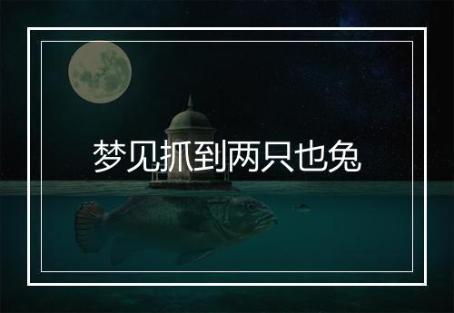 梦见抓到两只也兔