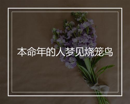 本命年的人梦见烧笼鸟