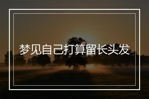 梦见自己打算留长头发