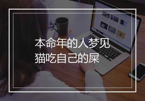 本命年的人梦见猫吃自己的屎