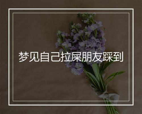 梦见自己拉屎朋友踩到