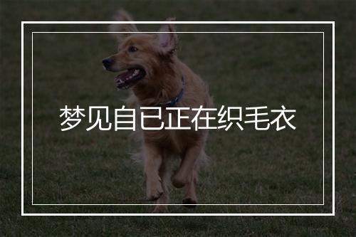 梦见自已正在织毛衣