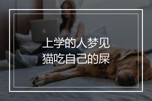 上学的人梦见猫吃自己的屎