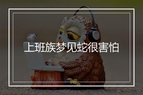 上班族梦见蛇很害怕