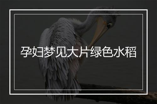 孕妇梦见大片绿色水稻