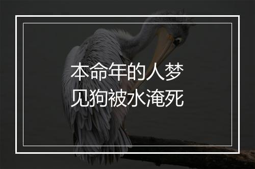 本命年的人梦见狗被水淹死