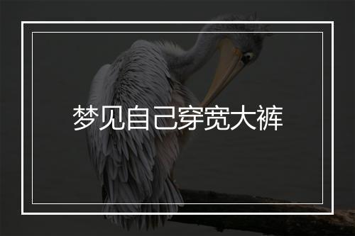 梦见自己穿宽大裤