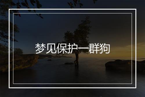 梦见保护一群狗