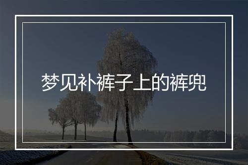 梦见补裤子上的裤兜