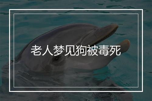 老人梦见狗被毒死