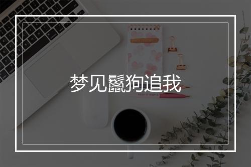 梦见鬣狗追我