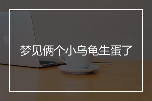 梦见俩个小乌龟生蛋了