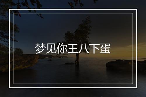 梦见你王八下蛋