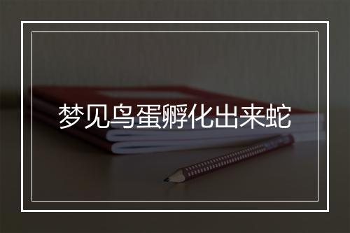 梦见鸟蛋孵化出来蛇