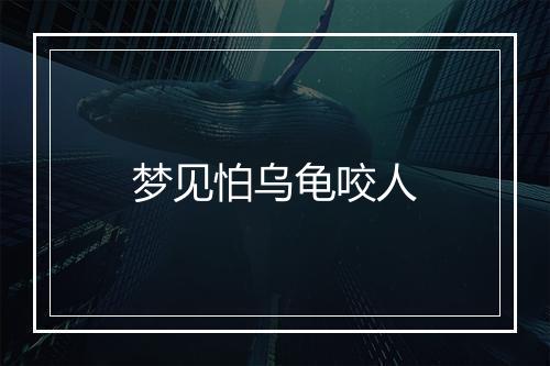 梦见怕乌龟咬人