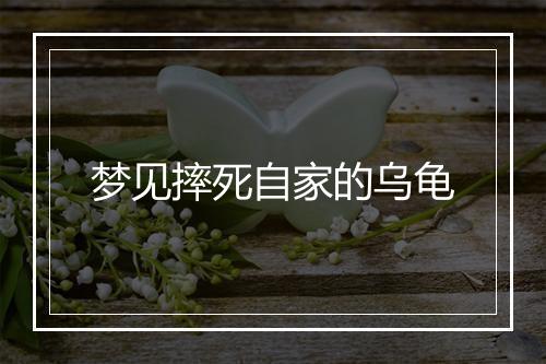 梦见摔死自家的乌龟