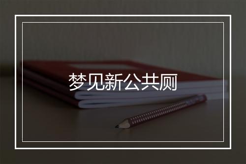 梦见新公共厕