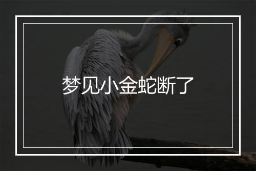 梦见小金蛇断了