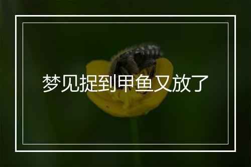 梦见捉到甲鱼又放了