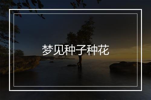 梦见种子种花