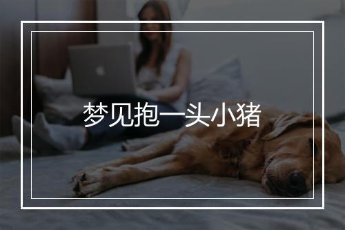 梦见抱一头小猪