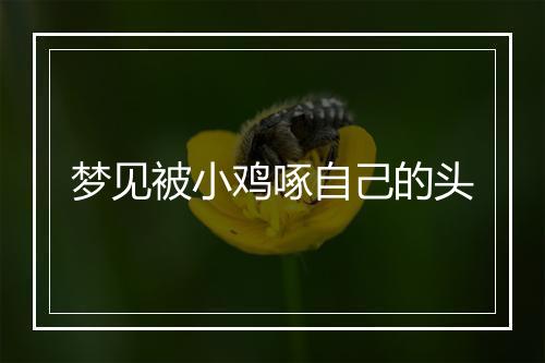 梦见被小鸡啄自己的头