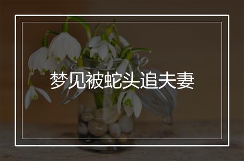 梦见被蛇头追夫妻